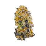 Grape Candy cannabis flower bud with golden and purple hues on transparent background