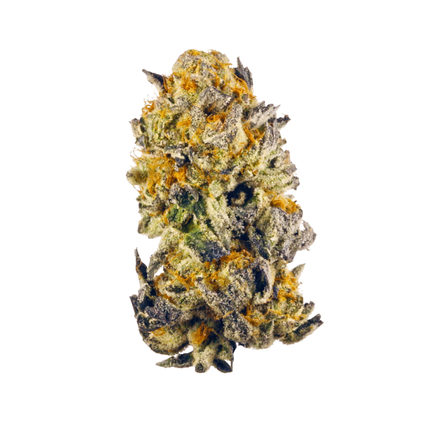 Grape Candy cannabis flower bud with golden and purple hues on transparent background