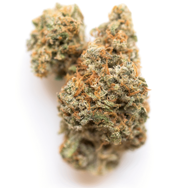 Sundae Driver cannabis strain - dense hybrid flower buds with orange pistils and crystal trichomes