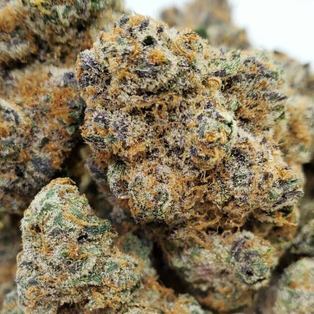 Dense cannabis buds covered in trichomes.