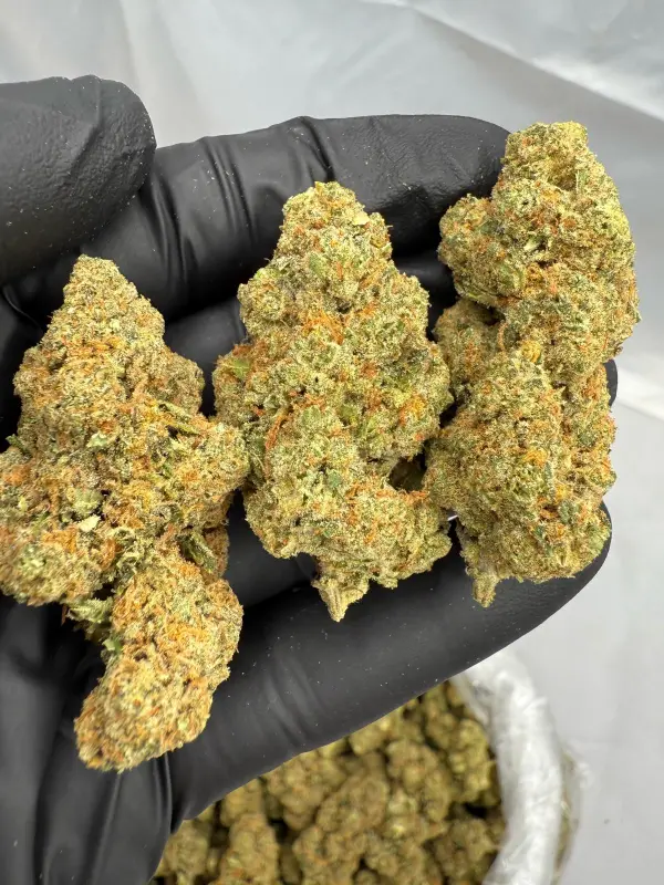 Amnesia Haze | Signature | Sativa | 32.80%