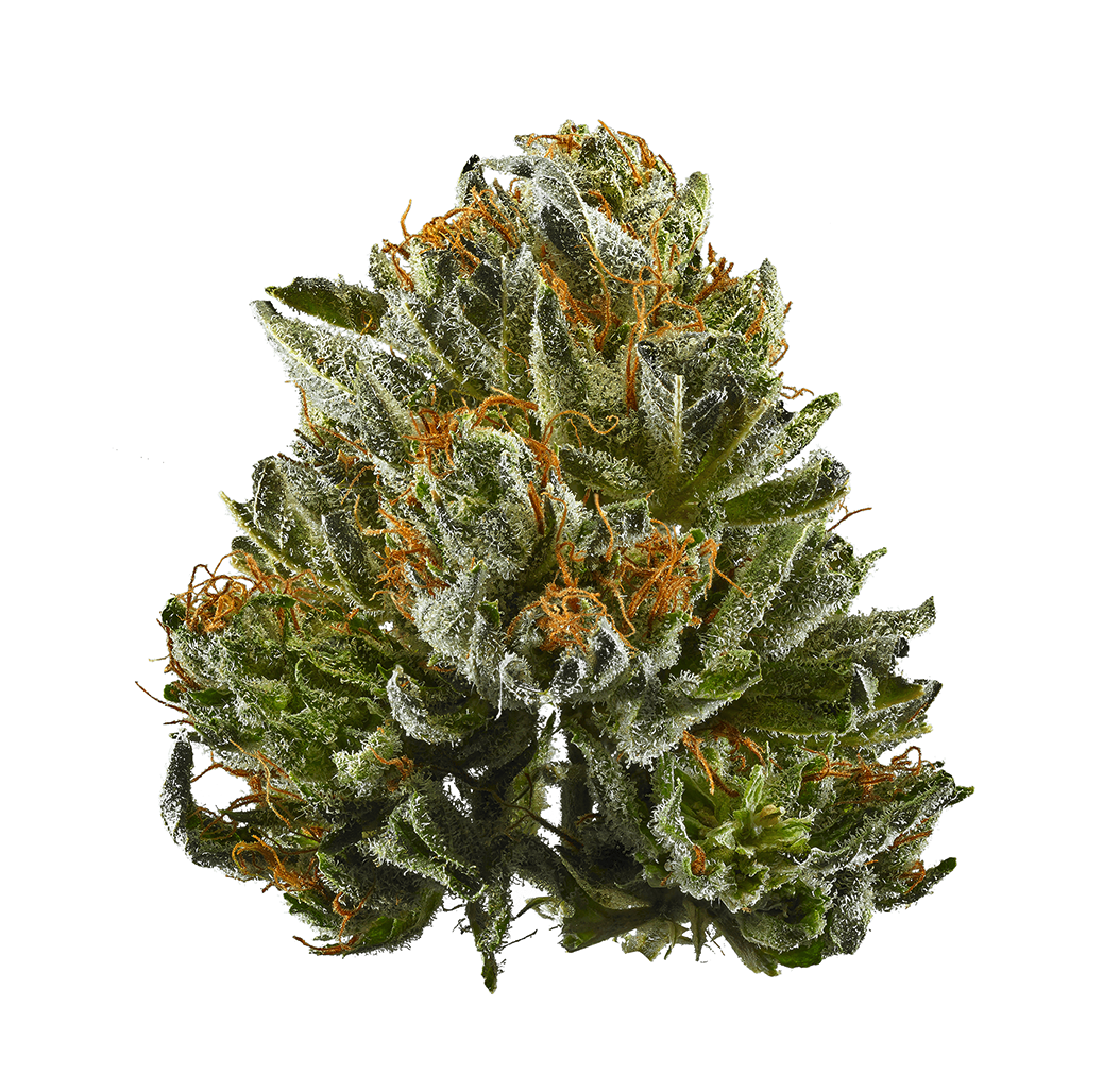 Peanut Butter Breath | Smalls | Indica | 21.92%