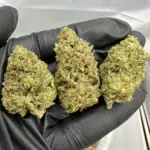 Do Si Do | Smalls | Indica | 32.86%