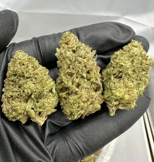 Do Si Do | Smalls | Indica | 32.86%