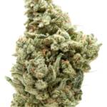 Pure Shaka branded supplement - wellness or CBD product