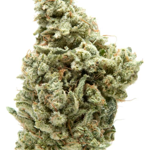 Pure Shaka branded supplement - wellness or CBD product