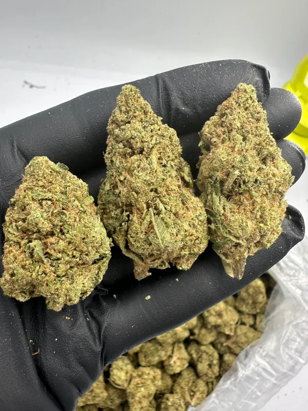 Green Crack | Smalls | Sativa | 31.63%