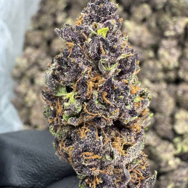 Tropicana Cherry | Supreme | Sativa | 30.35%