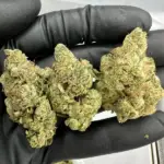 Kosher Kush | Supreme | Indica | 33.04%