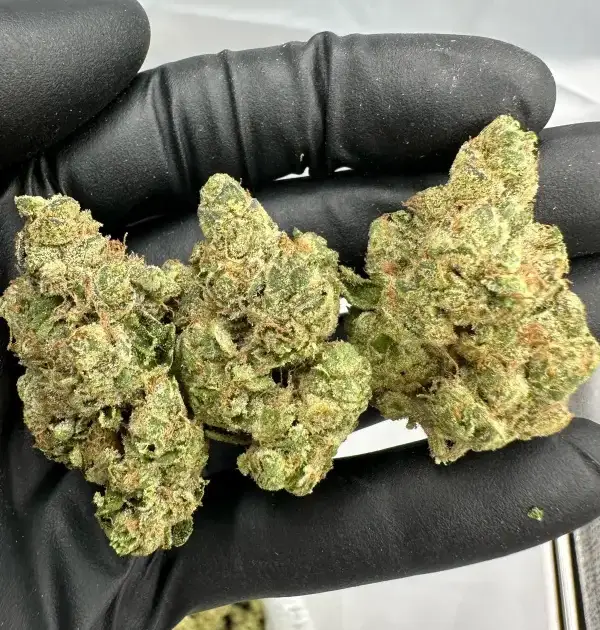 Kosher Kush | Supreme | Indica | 33.04%