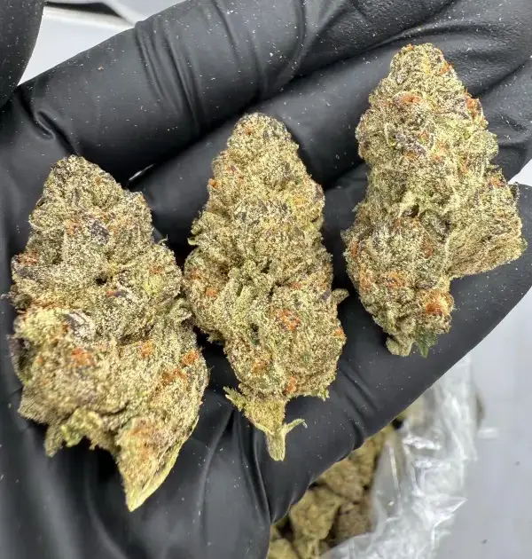 Zoap | Signature | Hybrid | 25.11%