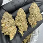 Zoap | Signature | Hybrid | 25.11%