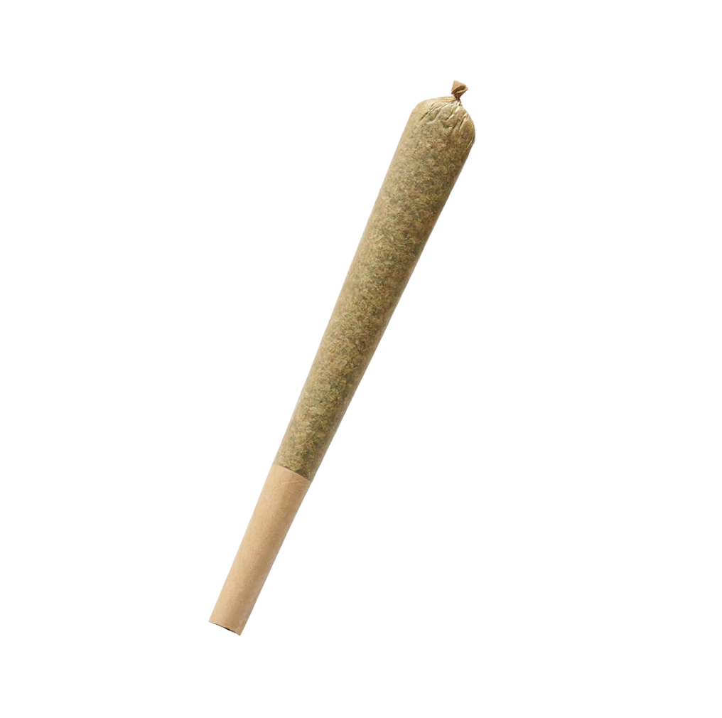 THCa cannabis pre-roll joint with hemp flower and paper tip