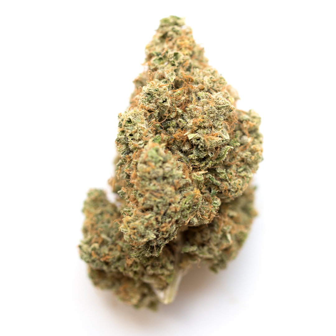 Lemon Gas Mask | Smalls | Sativa | 24.80%