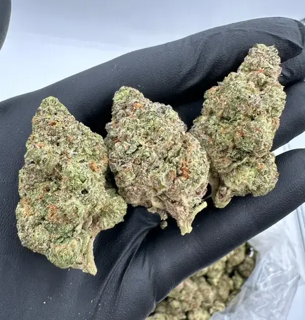 White Cherry Gelato | Supreme | Hybrid | 31.90%