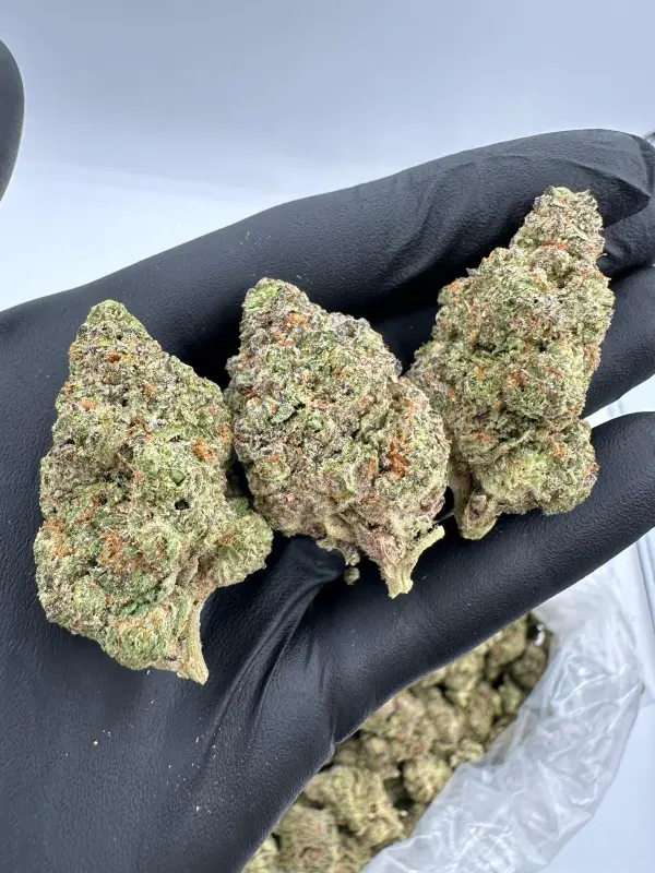White Cherry Gelato | Supreme | Hybrid | 31.90%