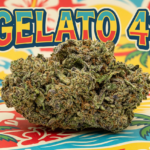 Gelato 41 | Supreme | Hybrid | 36.02%