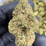 Sour Diesel | Smalls | Sativa | 26.48%